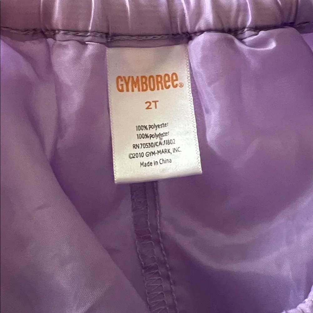 Gymboree Toddler 2T Purple Rainbow Tulle Tutu Skirt Party Easter Twirl